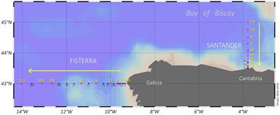 Vertical Niche Partitioning of Archaea and Bacteria Linked to Shifts in Dissolved Organic Matter Quality and Hydrography in North Atlantic Waters